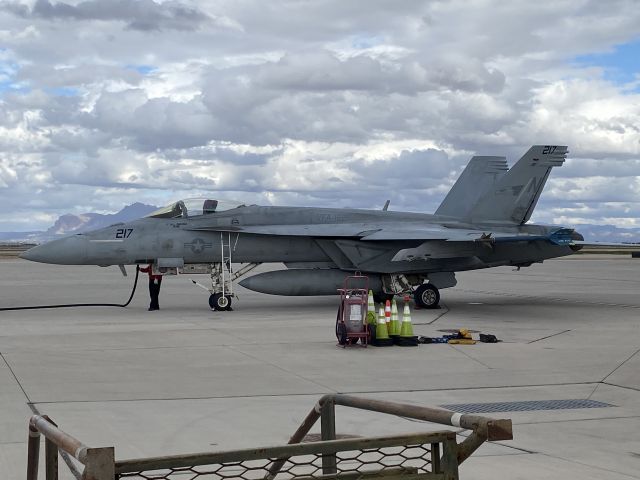 MCDONNELL DOUGLAS Super Hornet —