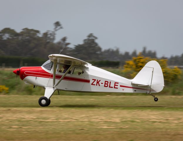 Piper PA-22 Tri-Pacer (ZK-BLE)