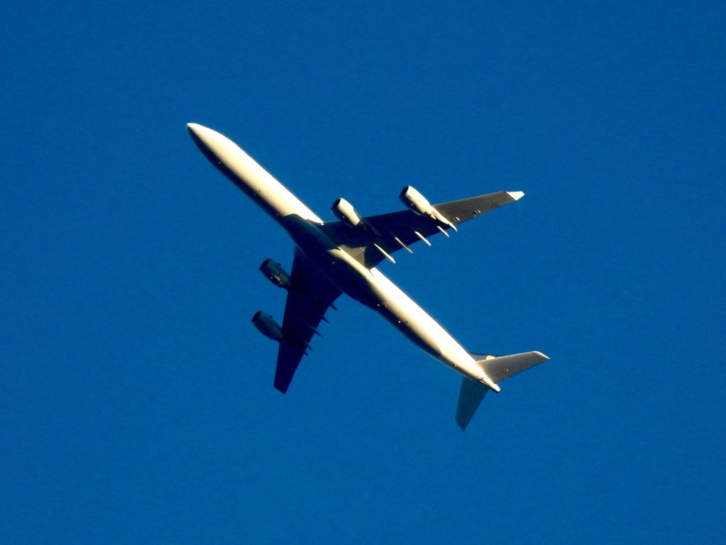 Airbus A340-600 (D-AIHE)
