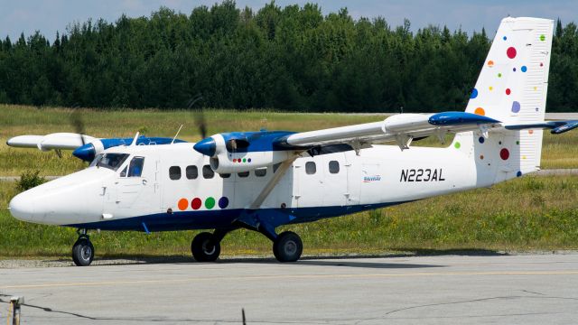 De Havilland Canada Twin Otter (N223AL)