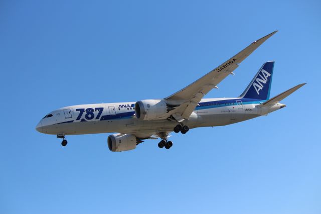 Boeing 787-8 — - An ANA Boeing 787-8 makes a steep morning approach into KSJC after flying from Tokyo, Japan.