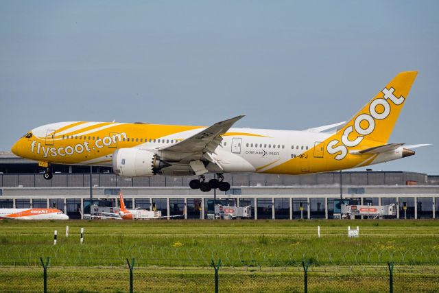 Boeing 787-8 (9V-OFJ)