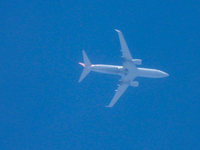 Boeing 737-800 (N998NN) - AAL1230br /SAT-ORDbr /07/23/22