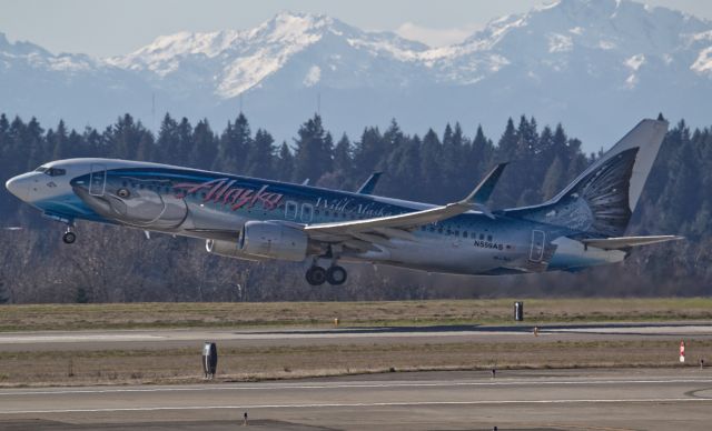 Boeing 737-800 (N559AS)