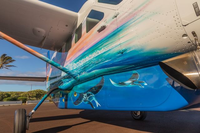 Cessna Caravan (N2150) - a close look at the manta rays, and surf side of Big Island Airs Caravan