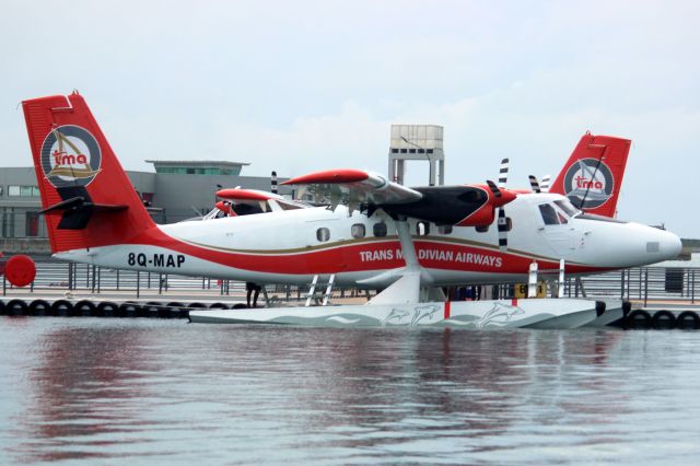 De Havilland Canada Twin Otter (8Q-MAP) - Seen here on 3-Jan-24.