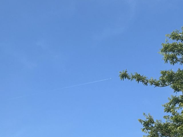 Airbus A319 (N803UA) - Flightradar24 for information 