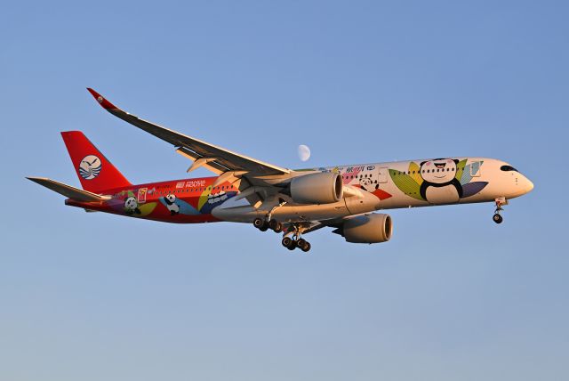 Airbus A350-900 (B-325J)