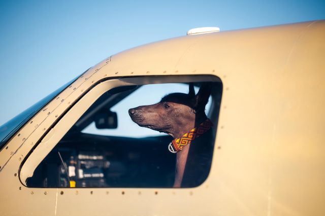 Piper Malibu Mirage (N712MK) - Captain