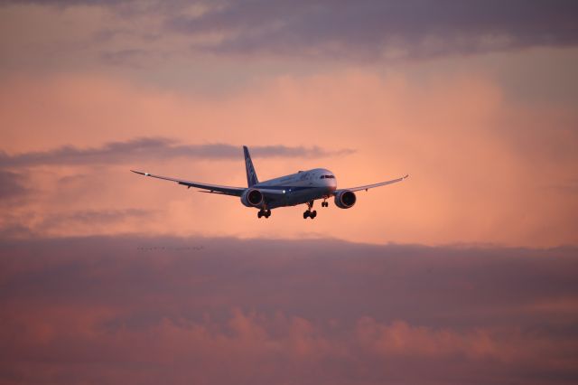 Boeing 787-9 Dreamliner (JA837A)