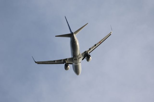 Boeing 737-800 (JA78AN) - 01 June 2015:HKD-KIX.