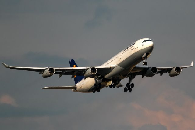 Airbus A340-300 (D-AIGU) - evening