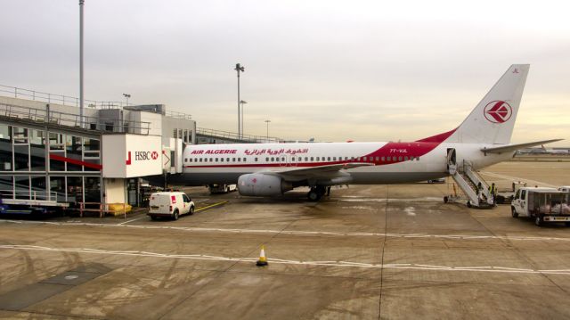 Boeing 737-800 (7T-VJL)