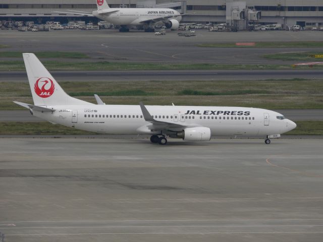 Boeing 737-800 (JA309J)