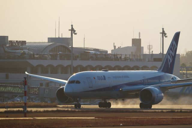 Boeing 787-8 (JA834A)