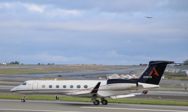 Gulfstream Aerospace Gulfstream V (N310TK)