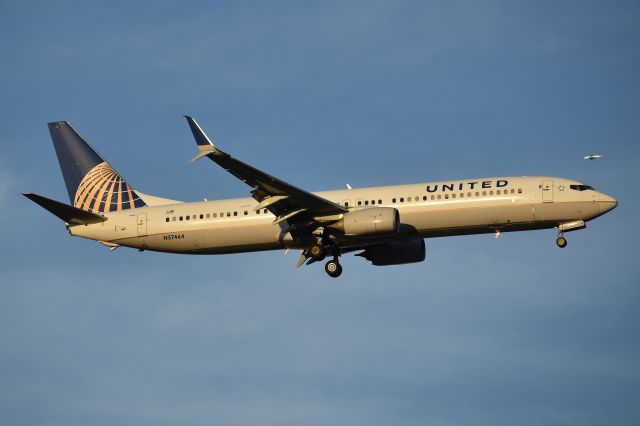 Boeing 737-900 (N37464) - Arriving to DFW during the golden hour of the evening.