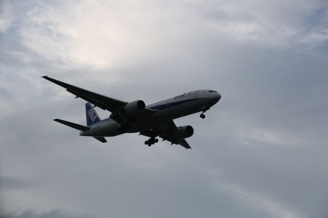 Boeing 777-200 (JA703A) - 21 July 2015:HND-HKD.