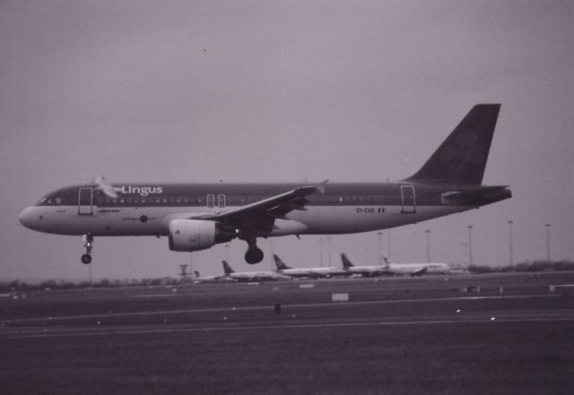 Airbus A320 (EI-CVD)