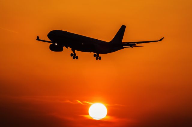 Airbus A330-300 (B-6505)