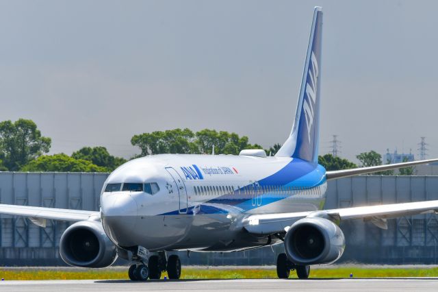 Boeing 737-800 (JA85AN) - 2022.7.9 NH781 ITM→NGS