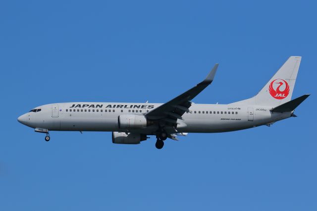 Boeing 737-800 (JA309J)