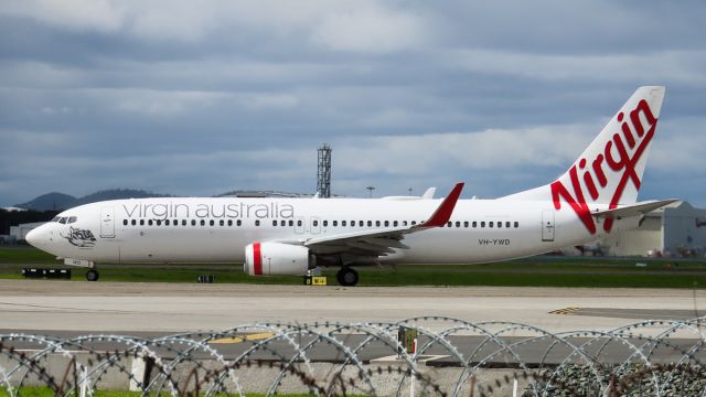 Boeing 737-800 (VH-YWD) - At Brisbane.