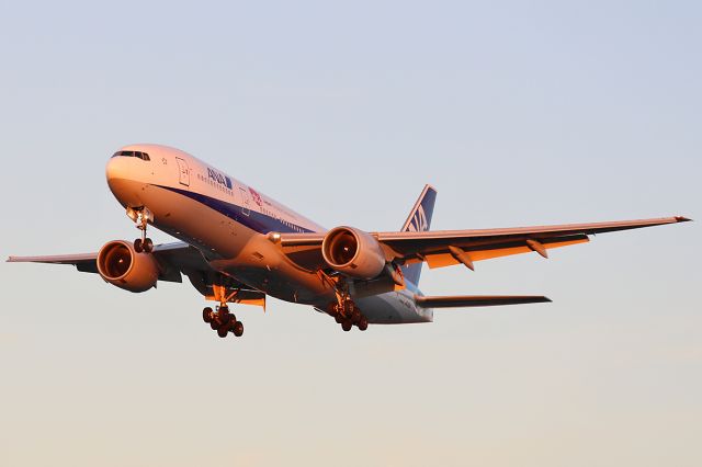 Boeing 777-200 (JA715A) - Landing.