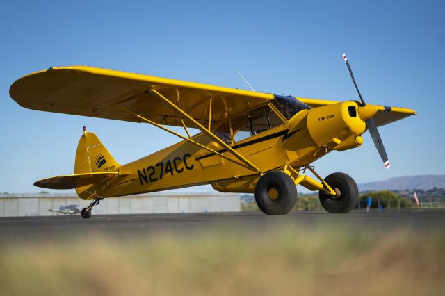 Piper L-21 Super Cub (N274JZ)