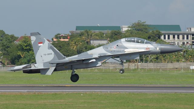 Sukhoi Su-27 Flanker (TSC3009) - Indonesia Air Force SU-30MK2 Flanker