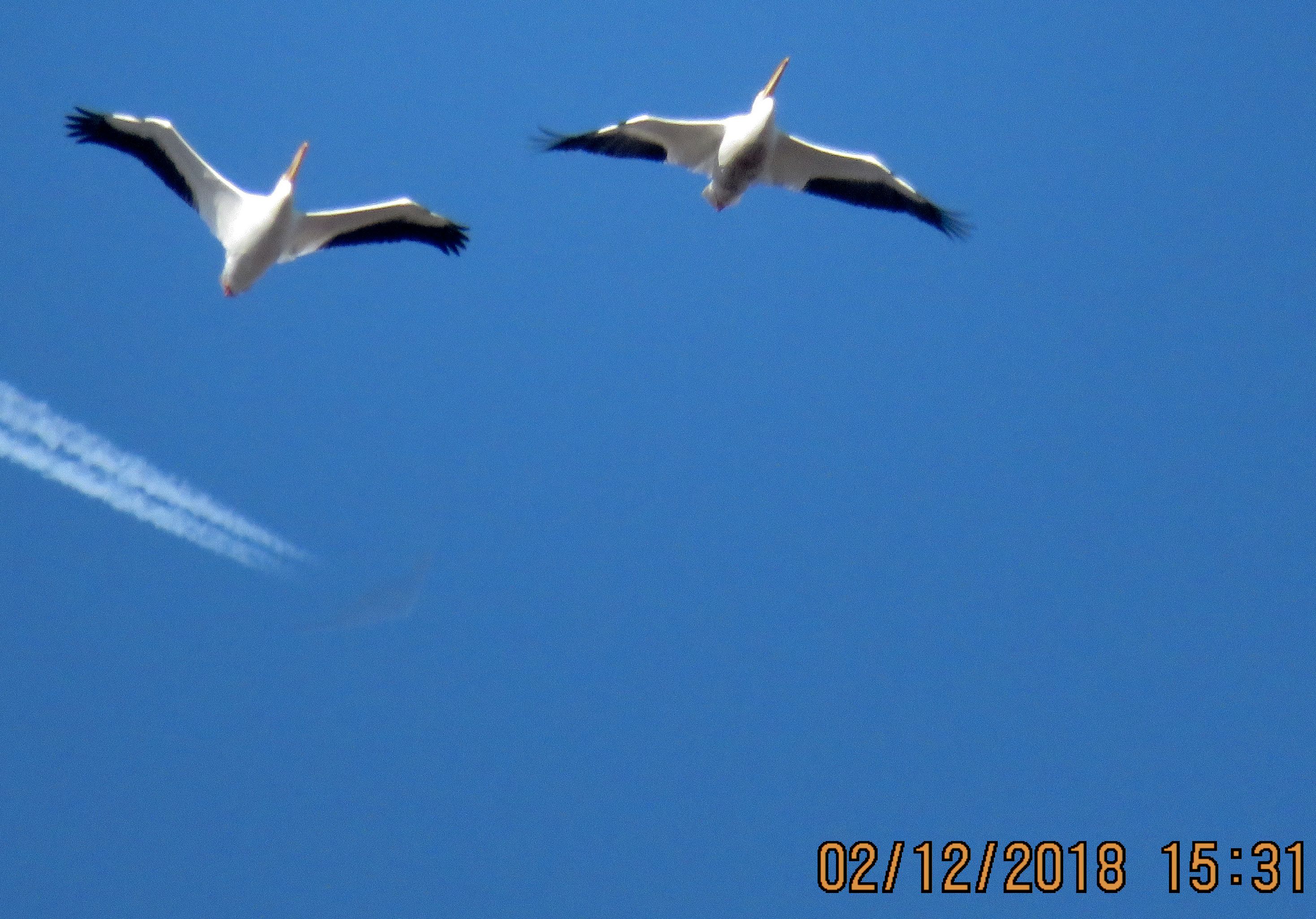 Northrop Spirit (88-0328) - That is a B-2 behind the bird. Wish it would had shown up better. 