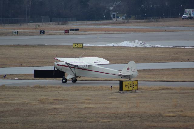 Piper NE Cub (N100DV)