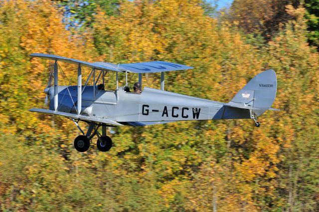 OGMA Tiger Moth (NX603DH) - Old Rhinebeck Aerodrome