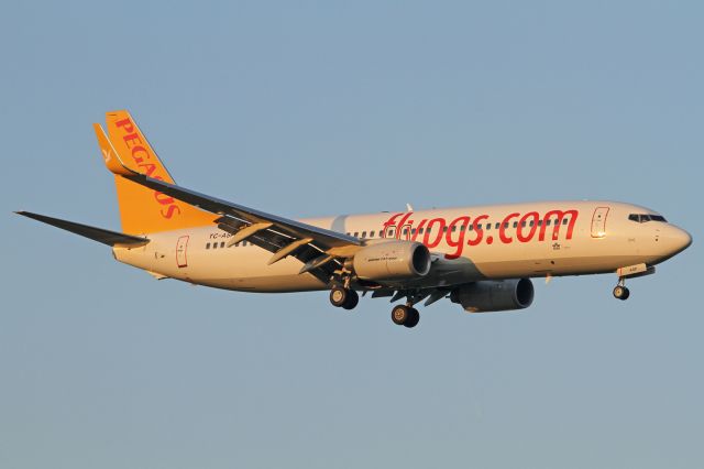 Boeing 737-800 (TC-ASP)