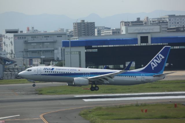 Boeing 737-800 (JA65AN)