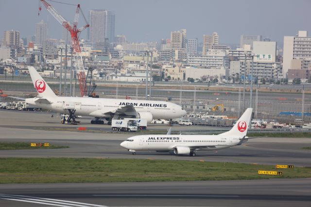 Boeing 737-800 (JA307J)