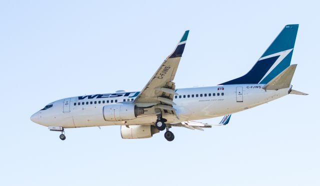 Boeing 737-700 (C-FJWS)