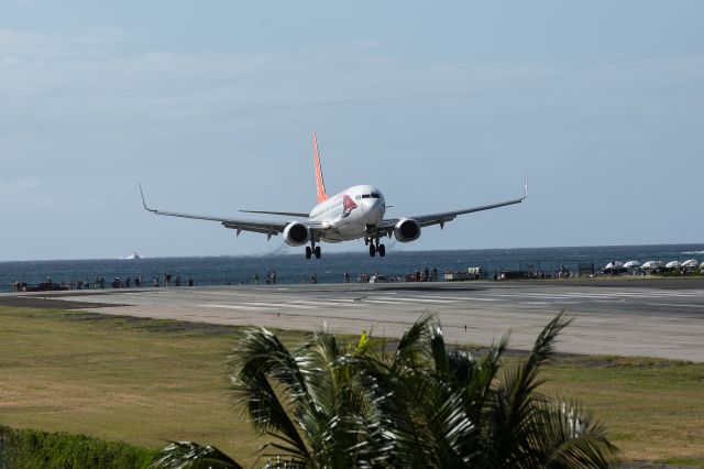 Boeing 737-800 (C-FEVD)