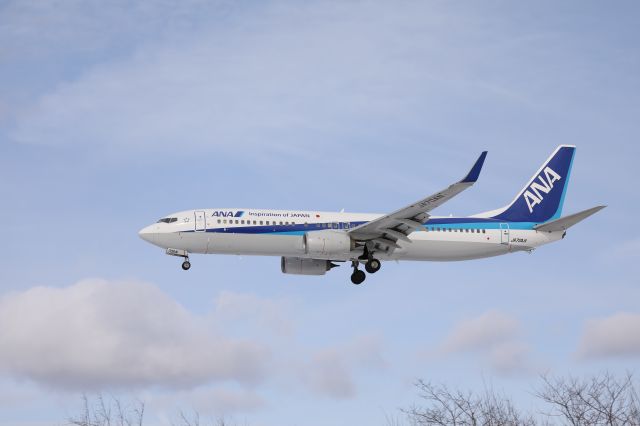 Boeing 737-800 (JA70AN) - 11 February 2017:HND-HKD.