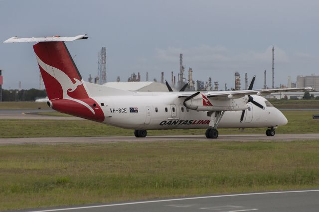 de Havilland Dash 8-200 (VH-SCE) - Taxing back to the QANTAS terminal after arriving on runway 14