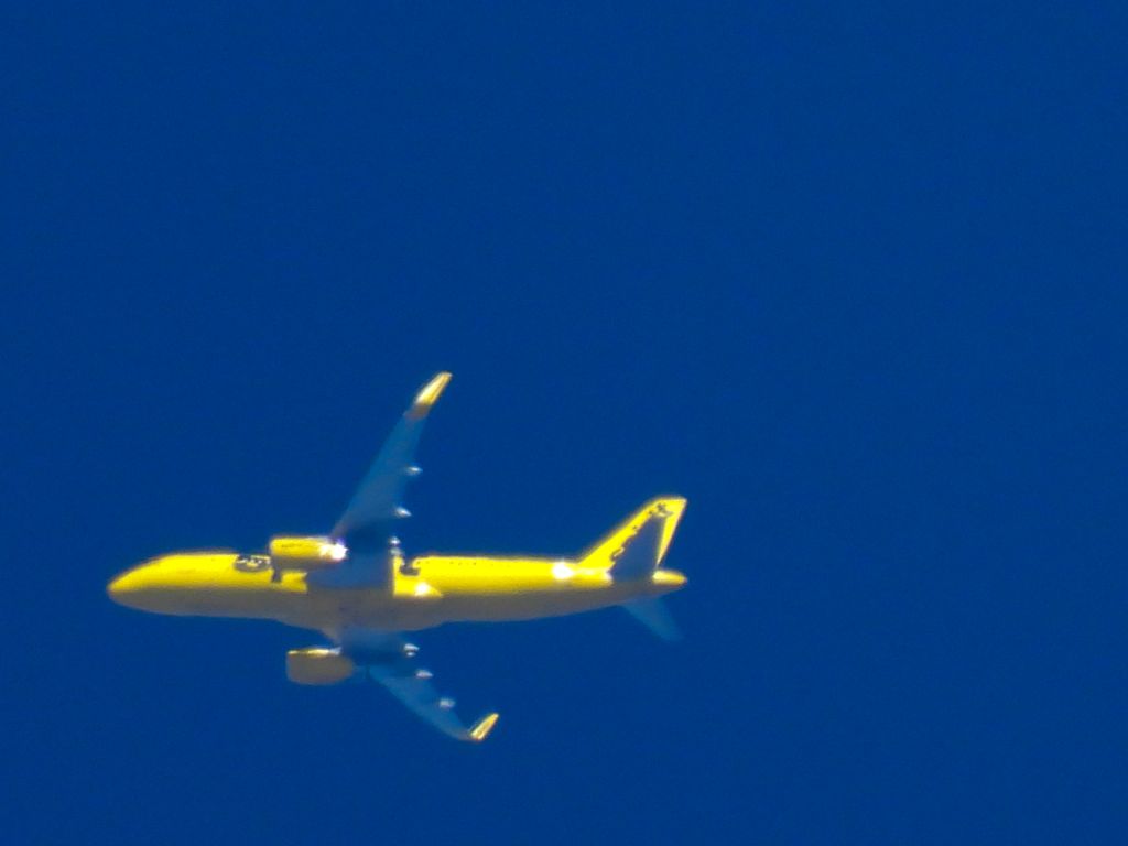 Airbus A320 (N624NK) - NKS924br /BWI-LASbr /02/25/2025