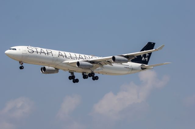 Airbus A340-300 (D-AIGW) - LH442/DLH3V Heavy on final for 21L after its scheduled passenger flight from Frankfurt.