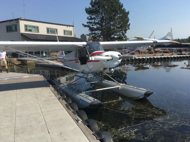 Piper L-21 Super Cub (N390CC) - New paint job; docked at S60