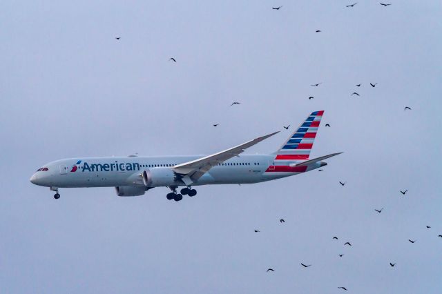 Boeing 787-9 Dreamliner (N829AN)