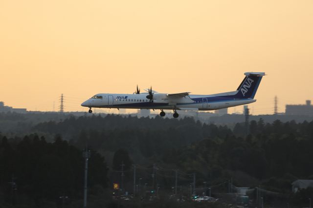 de Havilland Dash 8-400 (JA859A)