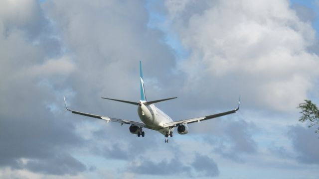 Boeing 737-800 (C-FONK)