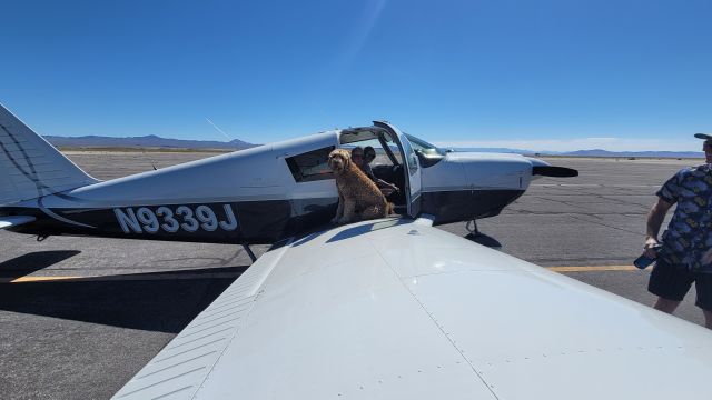 Piper Cherokee (N9339J) - First flight