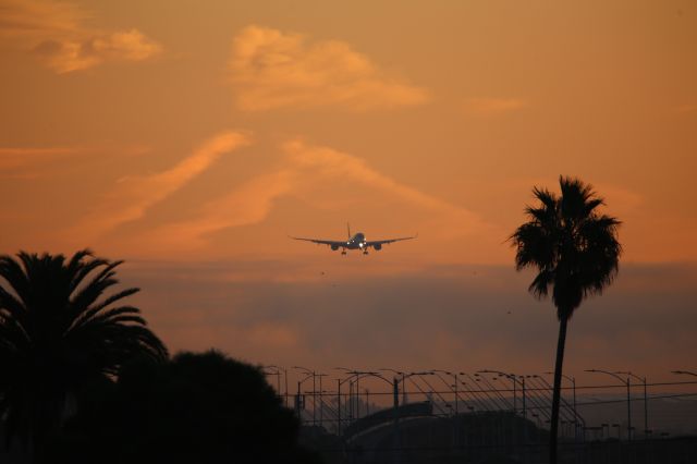 Airbus A350-1000 (A7-ANJ)