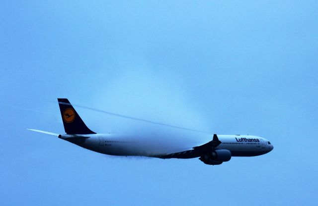 Airbus A340-600 (D-AIHB)