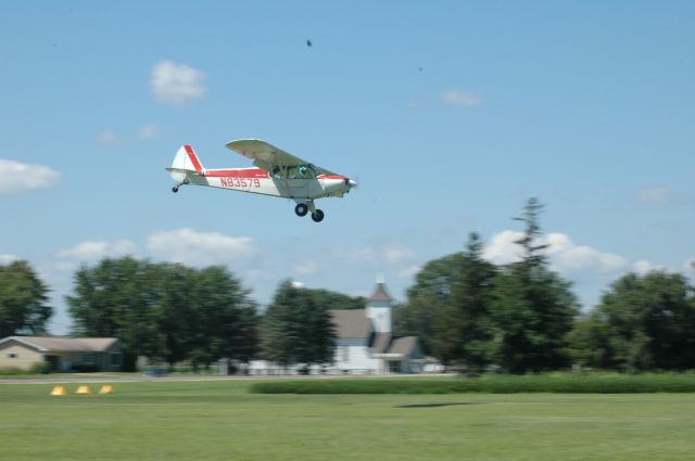 Piper L-21 Super Cub (N83579)